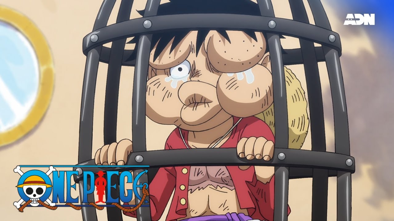 pourquoi one piece prime fascine tant les fans ?